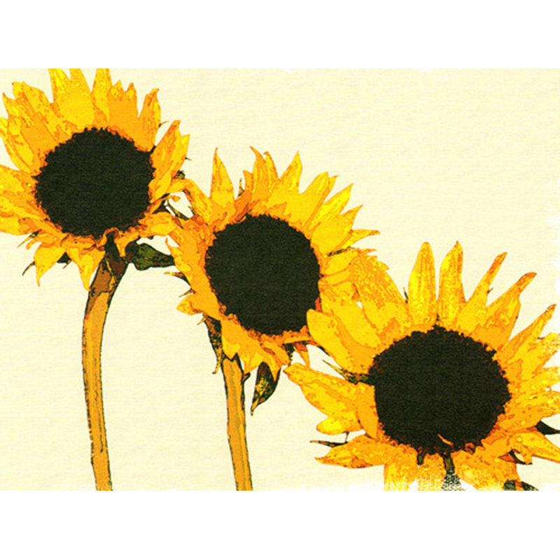Tournesols, H 18 po x l 24 po