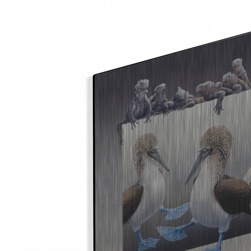 «Bluefooted Boobies And Marine Iguanas» par Harro Maass, H 16 po x l 12 po
