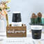 1 Pod Coffee Condiment Storage