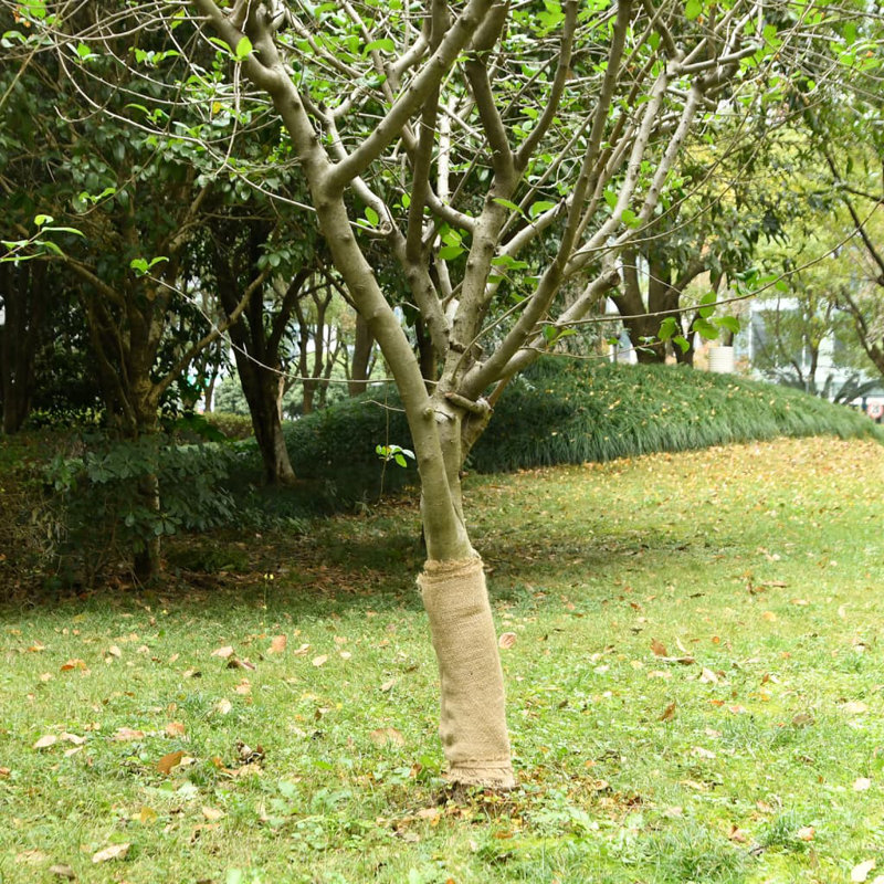 Plant Stand