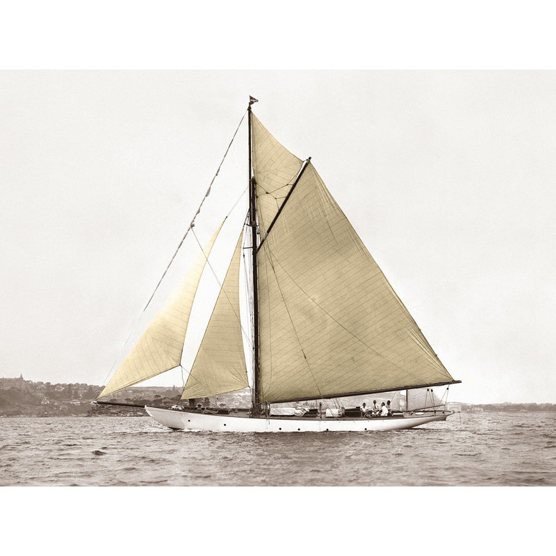 Yacht On Sydney Harbour by Anonymous - Wrapped Canvas Print, 60cm H x 80cm W x 4cm D