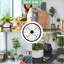 Plant Stand
