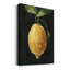 - Impression sur toile tendue-1471068943