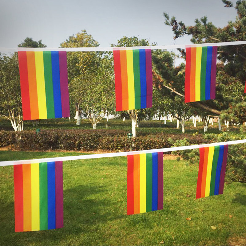 Rainbow Flag LGBT Pride String Flag - Bannières pour transe, bisexualité, transgenres