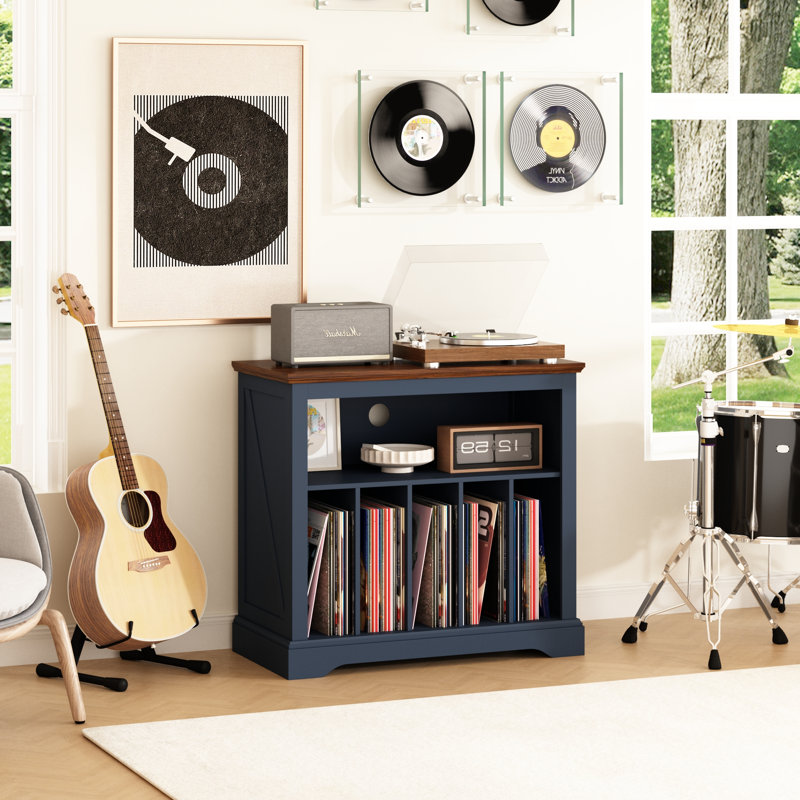 Support pour disque vinyle rustique, support pour disque vinyle jusqu'à 230 albums, Bleu