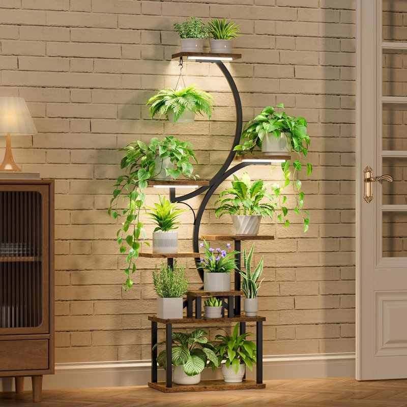 Support pour plante Irvina, Noir, noir, noir, noir