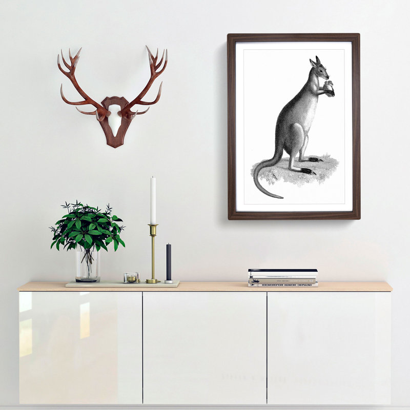 Kangaroo by George Shaw - Picture Frame Graphic Art Print, 36cm H x 27cm W x 2cm D, Walnut Framed