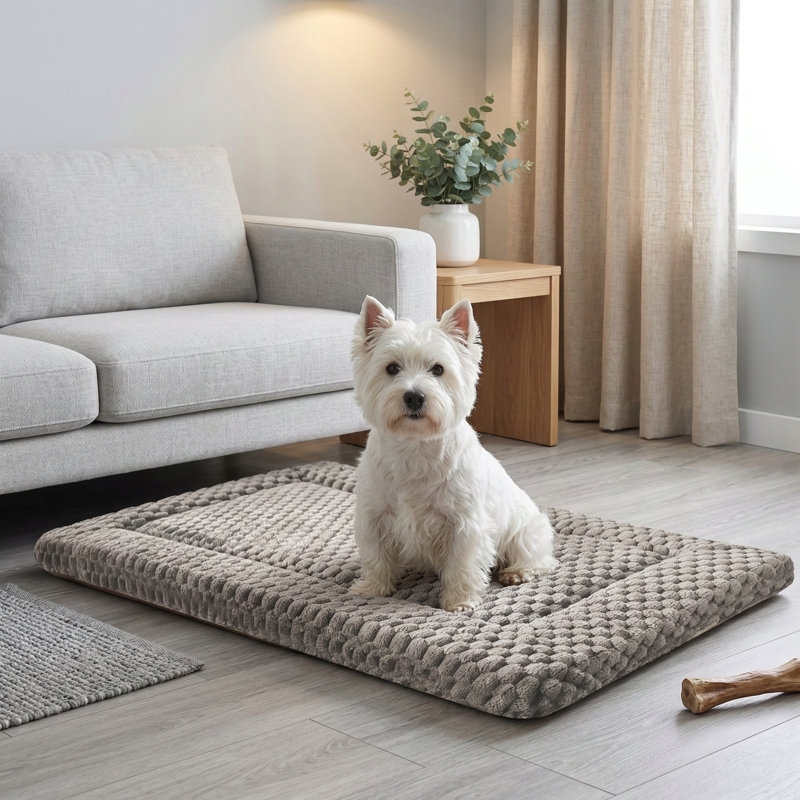 Tapis pour chien et cage pour chien, fabrication douce, durable, lavable à la machine, coussin antidérapant pour canines et félins, conception à deux côtés