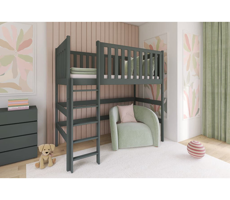 Iredale High Sleepers with Built-in Ladder Included, Graphite