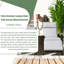 Chaise longue de patio inclinable avec accoudoirs en bois d'acacia-589210829-589210831