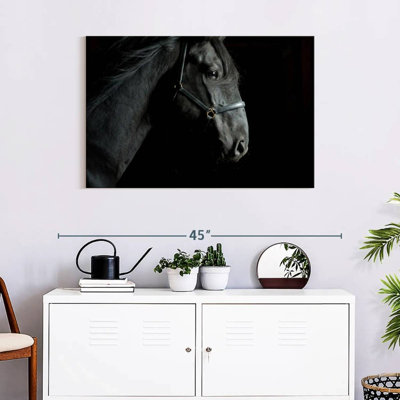 Horse Head