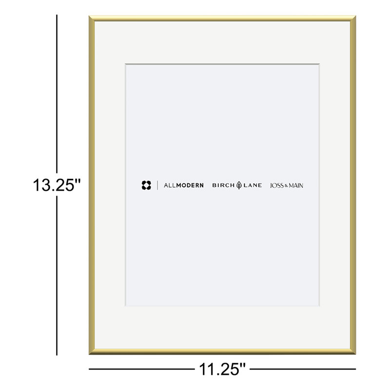 Feronia Metal Picture Frame with Mat, 8" x 10", Gold