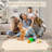 Floral Rug for Bedroom  Washable Area Rugs for Living Room Non Slip Thin, Soft Throw Carpet for Nursery, Kids Playroom, Classroom, Home Office Decor-252626475