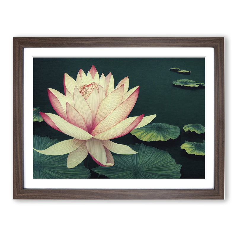 Victorious Lotus Flower - Framed Print, 34cm H x 46cm W x 2cm D, Walnut