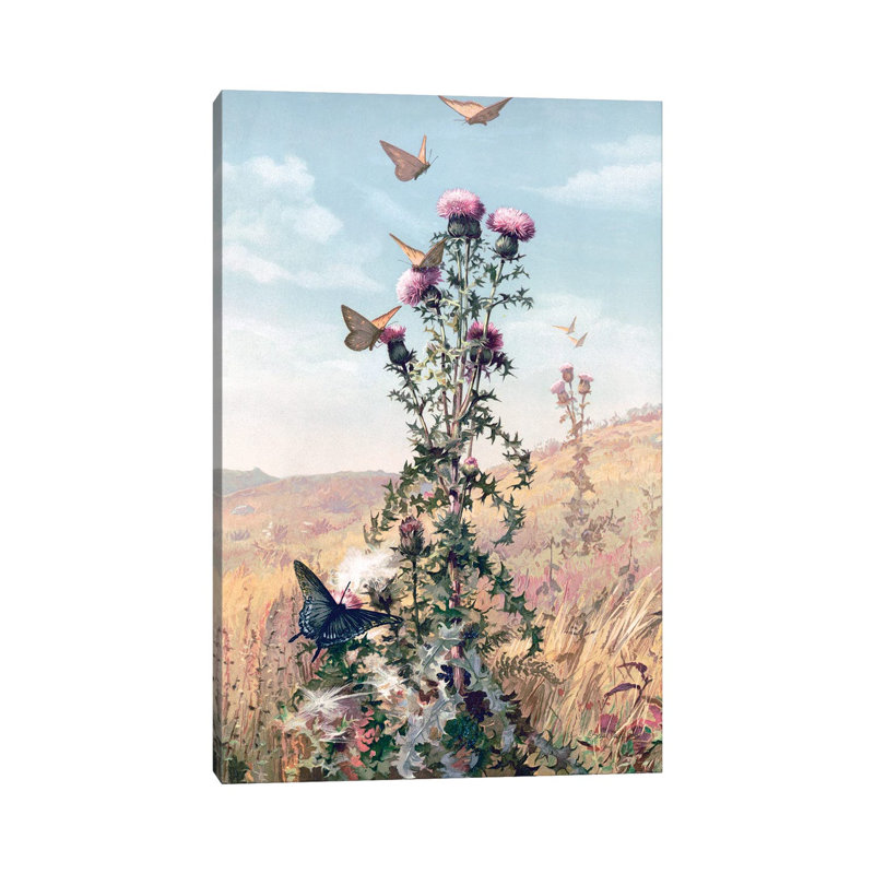 Meadow Butterflies by Stellar Design Studio - Gallery-Wrapped Canvas Giclée on Canvas, Canvas, 20.32 cm H x 30.48 cm W