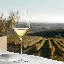 Notes Glassware-1789012500