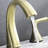 Widespread 2-handle Bathroom Faucet with Drain Assembly-58689373