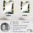 Sarro Rectangle Mirror-1668621750