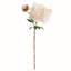 21-Inch Peony Stem-802925542