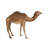 Grand-Scale Desert Camel Statue