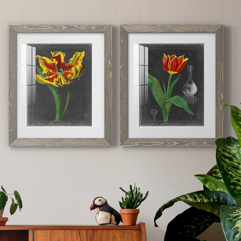 «Midnight Tulip II», reproduction encadrée de qualité supérieure - prête à être accrochée, H 20 po x l 17 po x P 1 po, Blanc