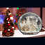 Snow Globe