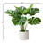 21 " H Faux Monstera Deliciosa Plant in Cement Pot-1346799961