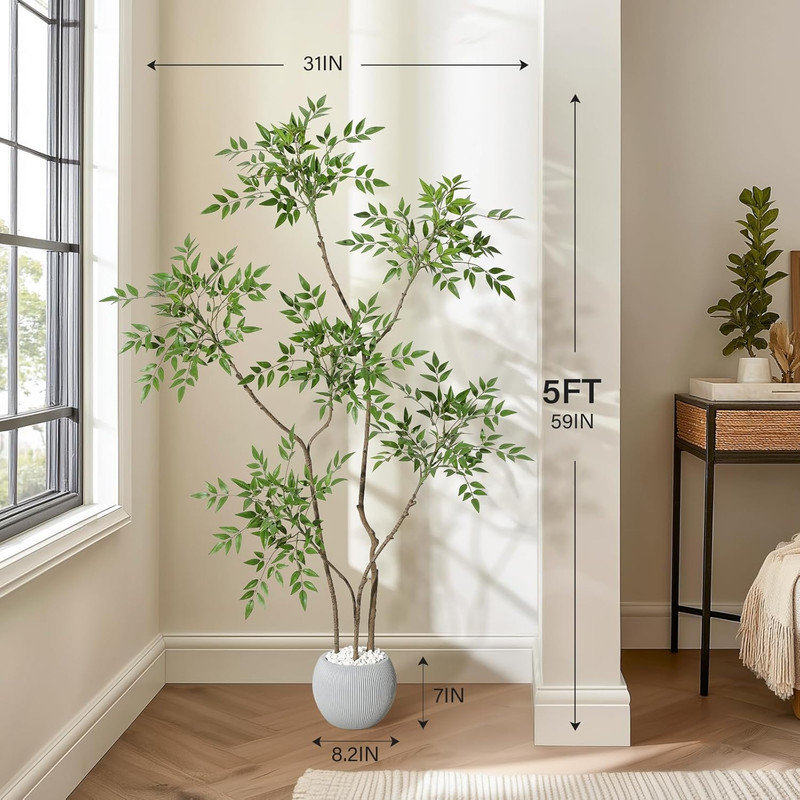 150cm Plant