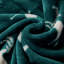 Couverture -258485309-258485310
