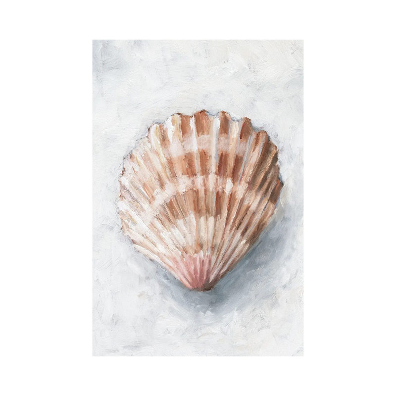 White Shell Study IV by Ethan Harper - Wrapped Canvas Print, 66.04 cm H x 45.72 cm W