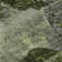 Premium Machine Washable Cerrito AMF555 Green Rug