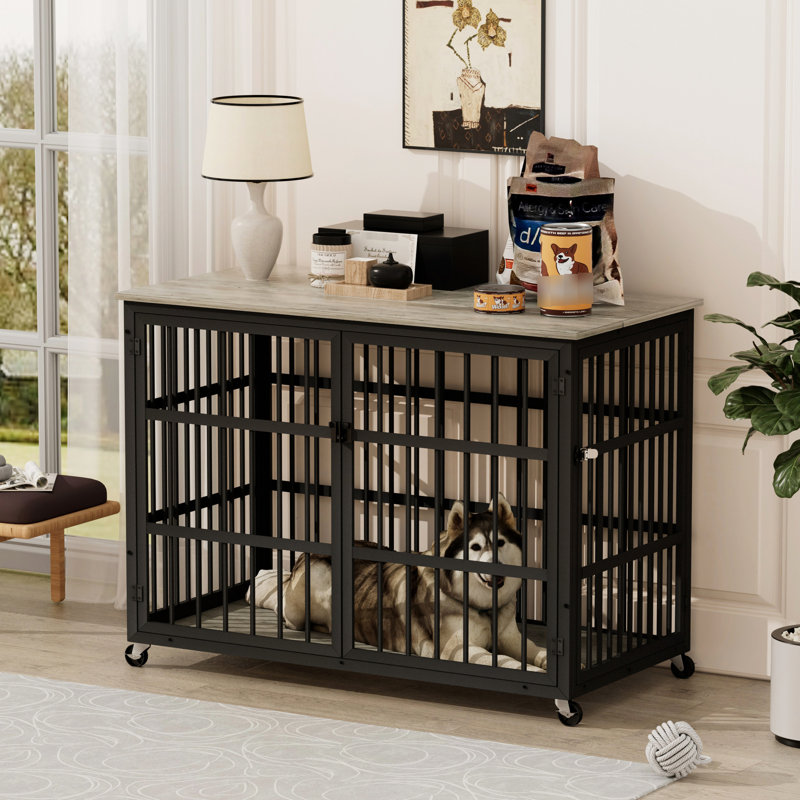 Cage pour chien grise en fer forgé gris, Grey