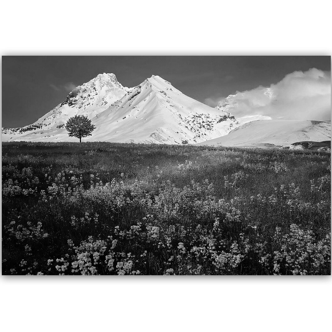 Leinwandbild Verschneite Berge und bunte Wiese 2