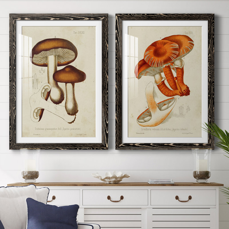Champignon Variétés VI encadré mat - prêt à accrocher, Noir, H 37,5 po x l 55 po x P 1,5 po