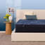 Matelas à plateau-coussin mi-ferme 14 po Serta Serta Perfect Sleeper-92908534