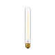 Antin Single Light Glass Steel Dimmable Armed Sconce