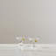 Benson Martini - Set of 2