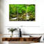 Alvord Smolny Forest Stream-108139854