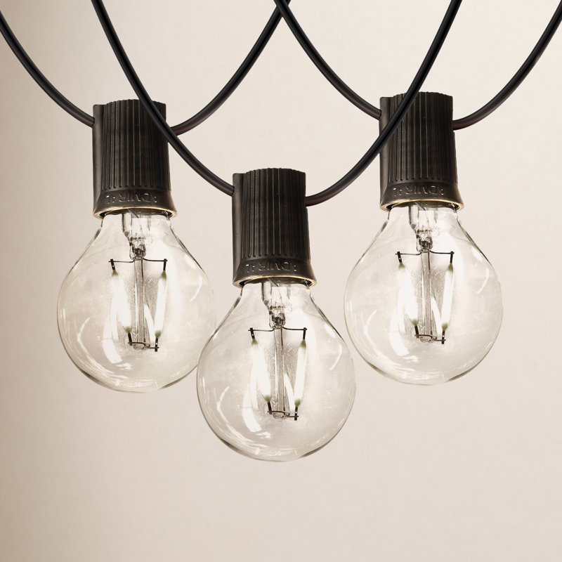 Ambience Pro 26 ft. Plug-In Outdoor Patio LED String Lights with 12 Soft White G40 Globe Bulbs, Black Cord, Weatherproof