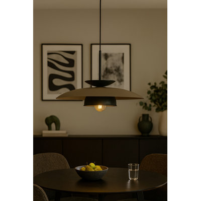 1 - Light Brown/Black Pendant