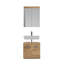 Hyattsville Freestanding Bathroom Cabinet