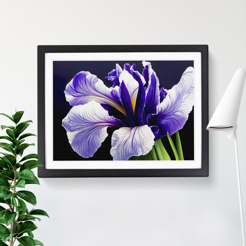Luscious Iris Flowers - Single Picture Frame Print, Black, 25cm H x 34cm W x 2cm D