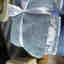 Photos des clients 1 de 1