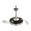 Ceiling Fan with LED Lights-589760727