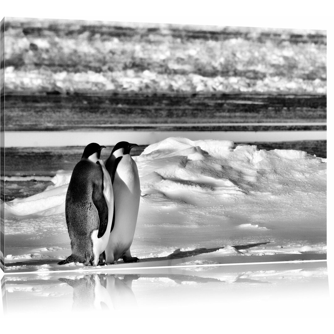 Leinwandbild Zwei Kaiserpinguine auf Eisscholle in Monochrom