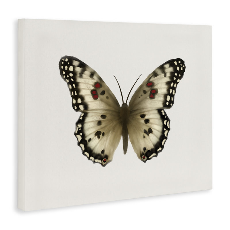 Art mural sur toile symétrique brun clair par Elizabeth Medley, H 36 po x l 48 po