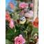 Moineaux et arrangement de dahlia en pot