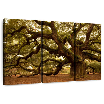 Harnek Charleston's Angel Oak Tree