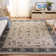 Klose Performance Oriental Rug