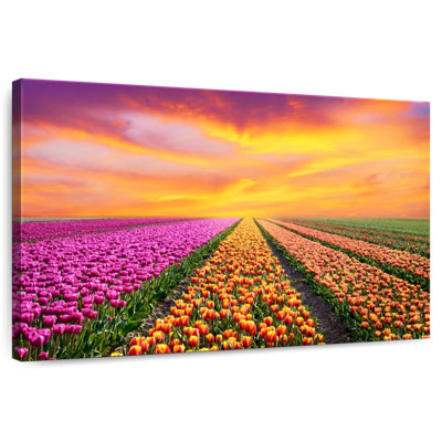 Vibrant Spring Tulip Rows